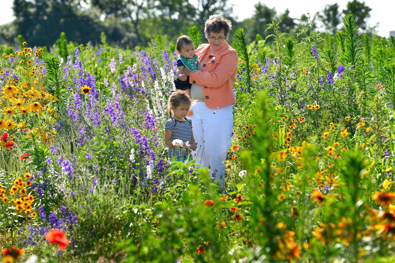 nature_living nature living